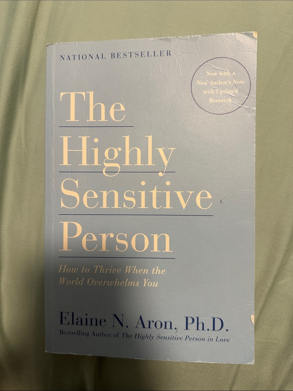 The Highly Sensitive Person - Light Blue Book Cover